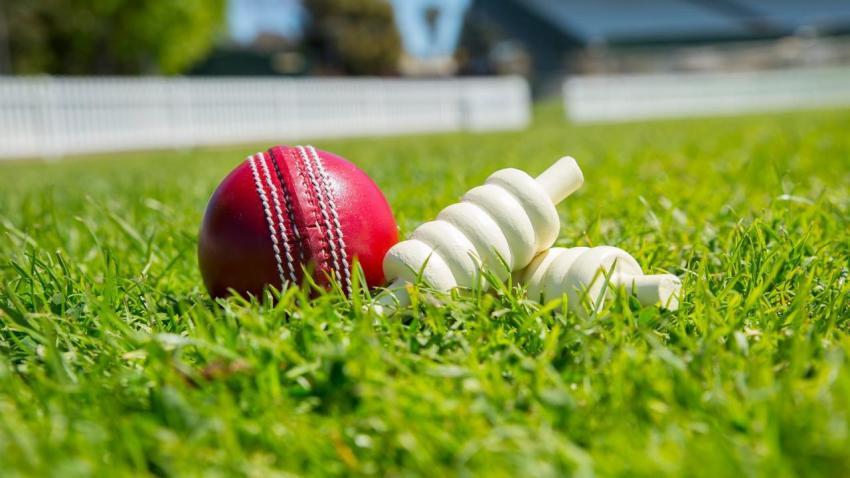 cricket background photo