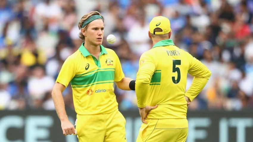 adam zampa wallpapers
