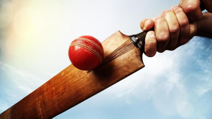 cricket playing Wallpaper