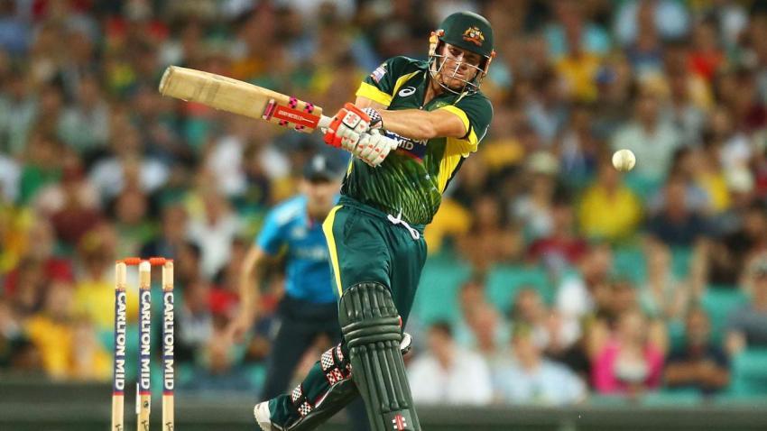 David warner ipl wallpapers