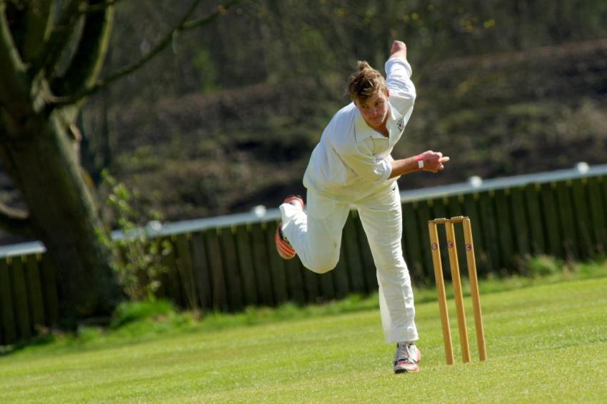 cricket HD wallpapers