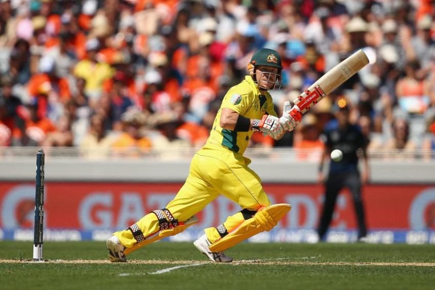 david warner ipl wallpapers