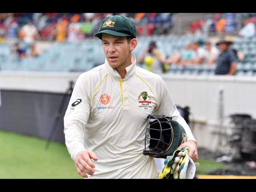 Tim paine wallpapers
