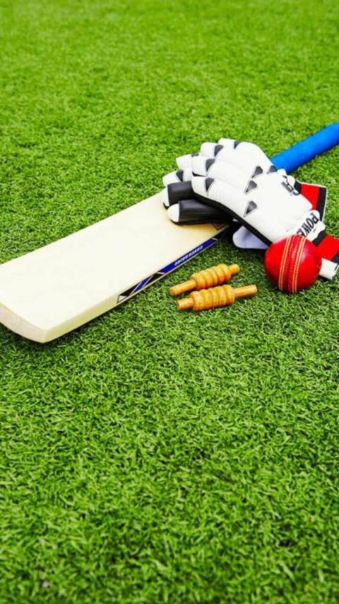 phone cricket background photo