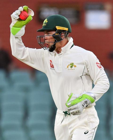 Tim Paine wallpapers