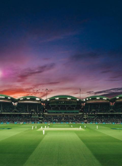 cricket grounds