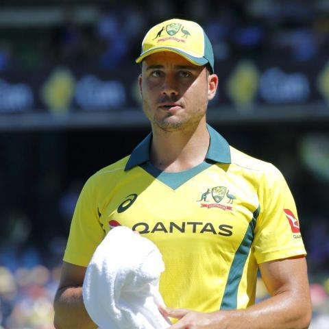 marcus stoinis wallpapers