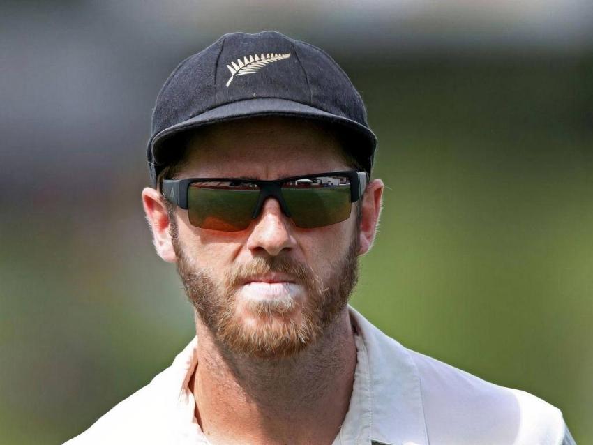 cricket player kane williamson HD wallpaper