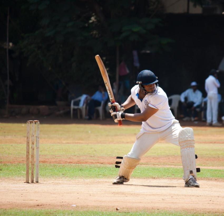 cricket HD wallpaper
