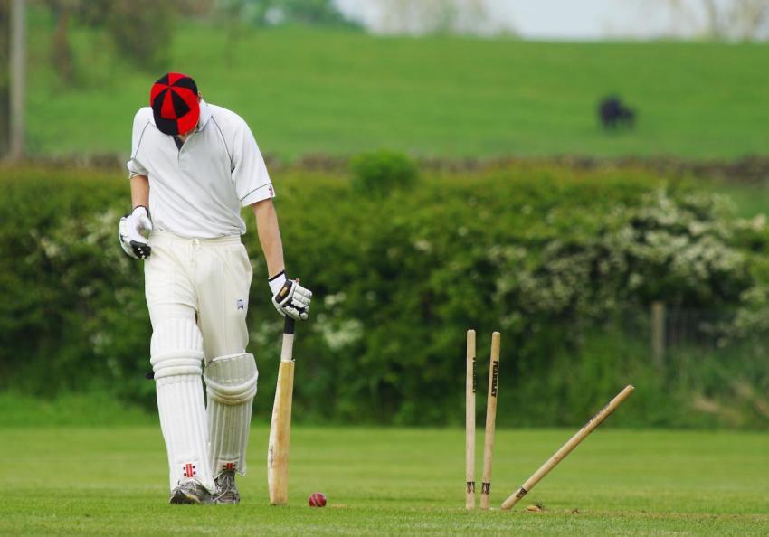cricket 8K  wallpaper
